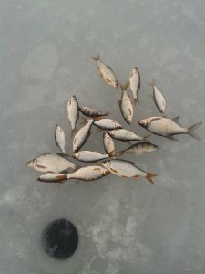 20150131_144214.jpg