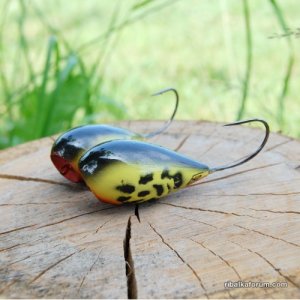 Pop- yellowN-500x500.jpg