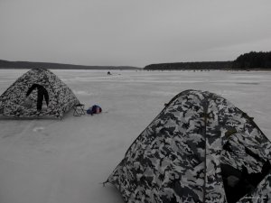 IMG_20150131_094100.jpg