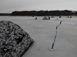 IMG_20150131_094107.jpg