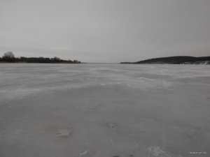 IMG_20150131_094116.jpg