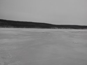 IMG_20150131_094125.jpg
