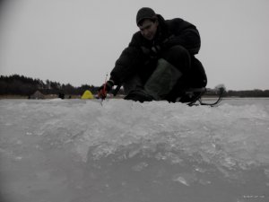 IMG_20150131_115658.jpg