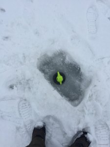 IMG_6820.jpg