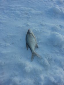 20150206_082906.jpg
