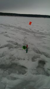 IMAG0306.jpg