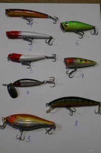 IMG_2585.JPG