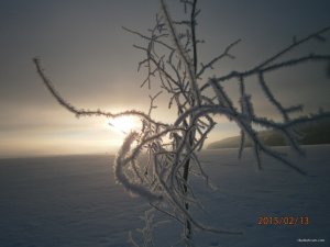 Изображение 010.jpg