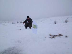 IMG_3101.JPG