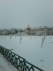 P14-02-15_11.07.jpg