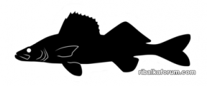 sticker,375x360.u1.png