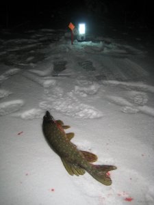 IMG_5289.JPG