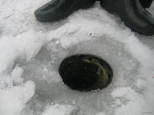 IMG_5296.JPG