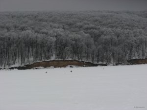 IMG_0429.JPG