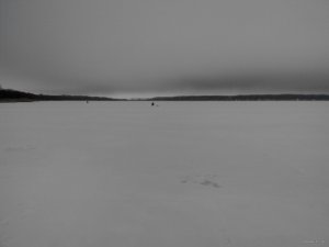 IMG_20150214_142327.jpg