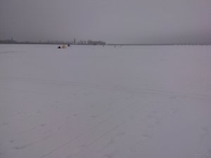 IMG_20150215_071804.jpg