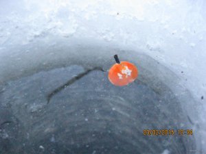IMG_2724[1].JPG
