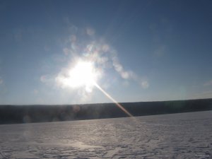 IMG_1073.jpg