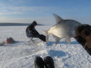 IMG_1075.jpg