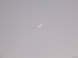 DSCN2403.JPG