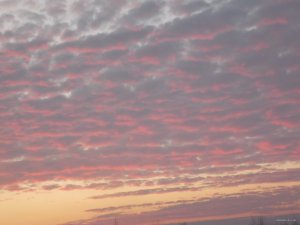DSCN2402.JPG