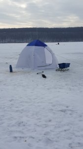 20150221_133009.jpg