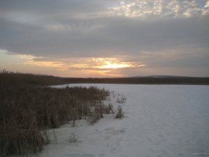 IMG_5324.JPG