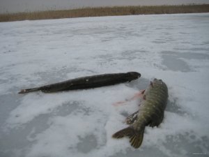 IMG_5318.JPG