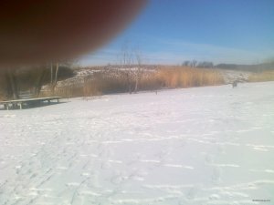 22022015066.jpg