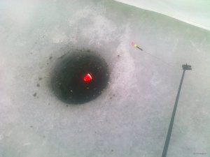 14022015064.jpg