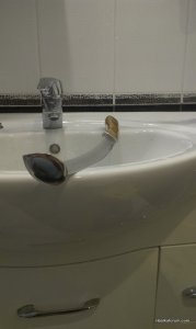 IMAG1053.jpg