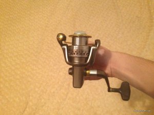 FF4q3M-QVBU.jpg