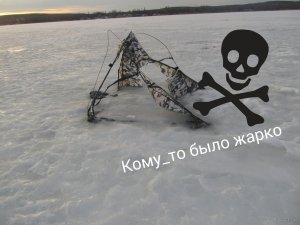 IMG_20150225_085625.jpg