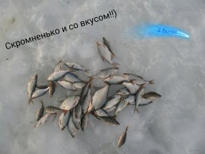 IMG_20150225_091700.jpg