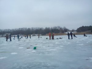 DSC00784.jpg