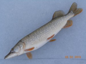 DSCN2860.JPG