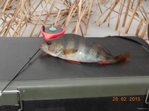 DSCN2862.JPG
