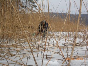DSCN2867.JPG