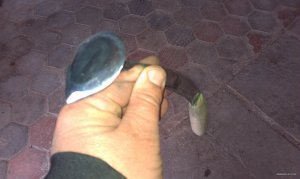 IMAG0176.jpg