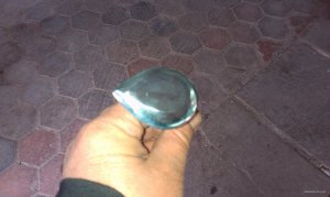 IMAG0177.jpg