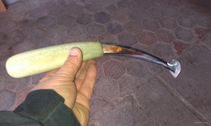 IMAG0178.jpg