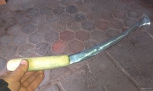 IMAG0179.jpg