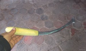 IMAG0185.jpg