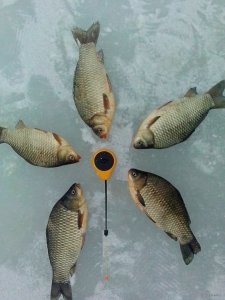 IMG_20150301_165855.jpg