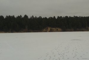 20150301_120227.jpg