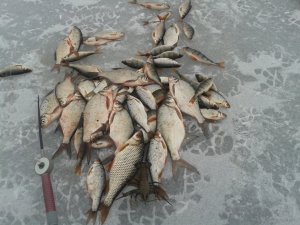 20150301_152726.jpg