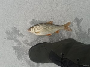 20150301_111755.jpg