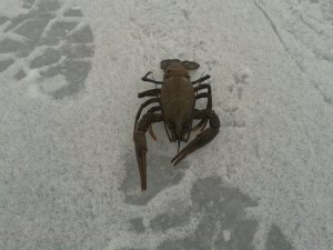 20150301_120236.jpg