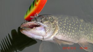CIMG2813.JPG