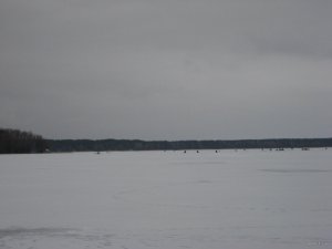 IMG_3054-1.jpg